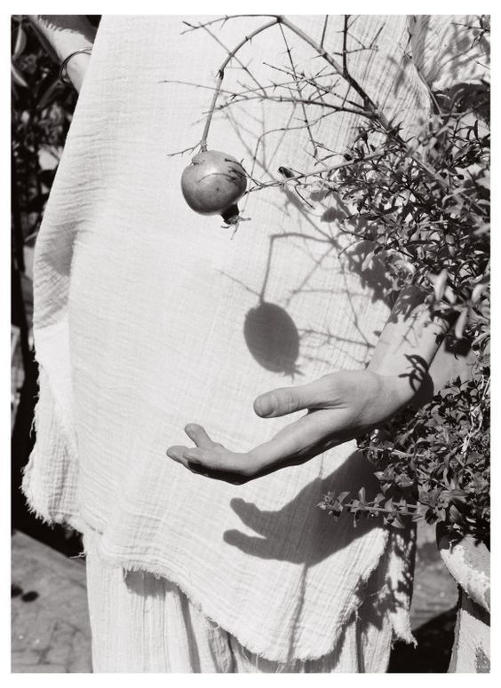 Hand and Pomegranate