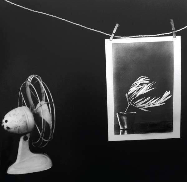 Still Life with Fan and Photograph