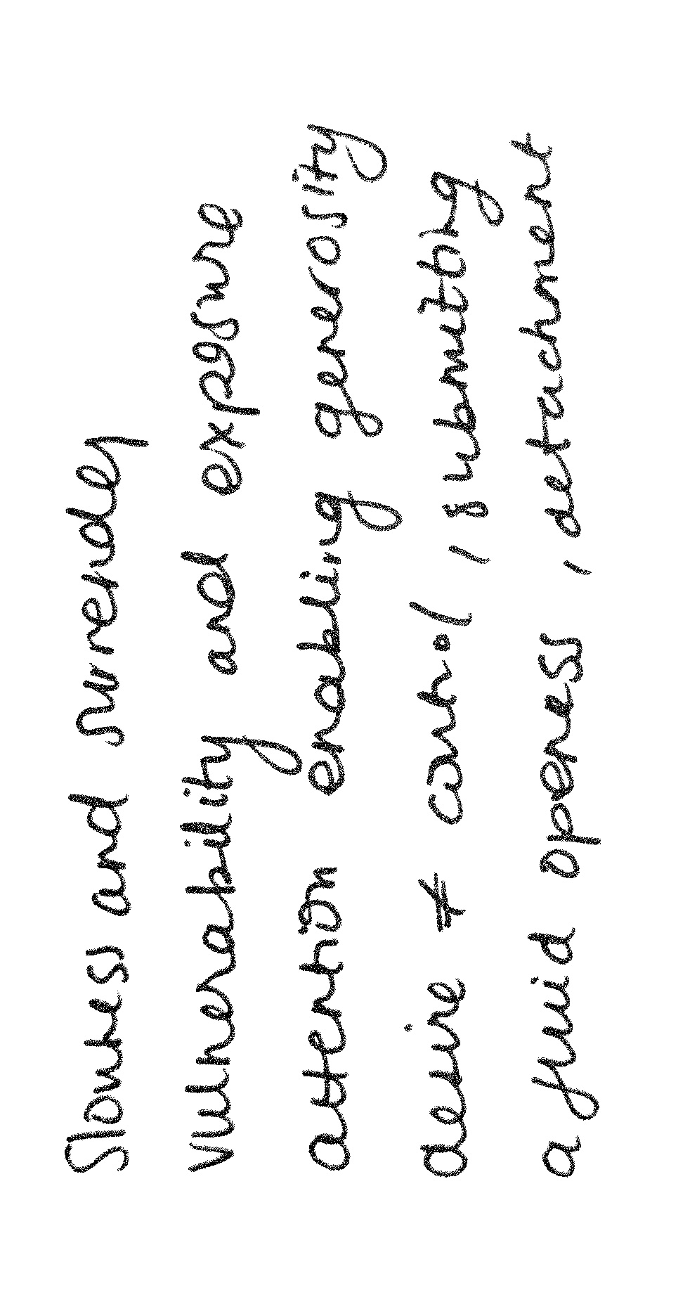 Studio Notes, Maegan Beck, 2026